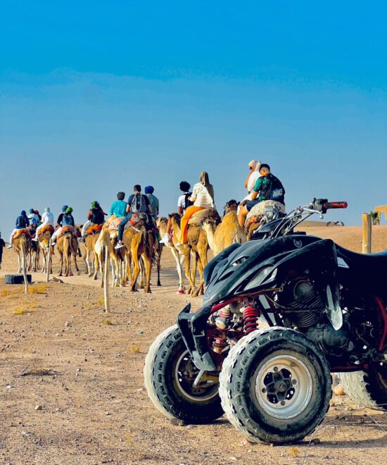 Quad + Camel Activity with Dinner at Agafay in Marrakech